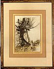 Arthur Rackham Canvas Paintings - Alice In Wonderland Alice And the Cheshire Cat